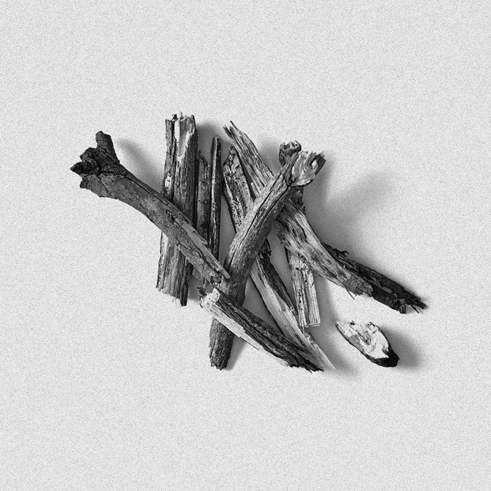 Sandalwood pieces representing the woody fragrance of the Bordan Sandalwood Candle 500g